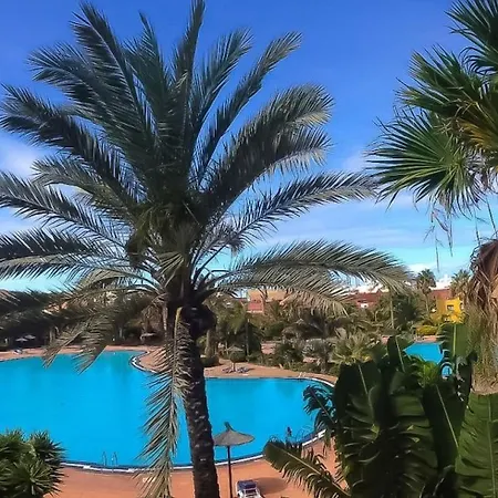 アパート Tamarindo 1 Casa Grace Wifi Free Pool View By Rentalfue